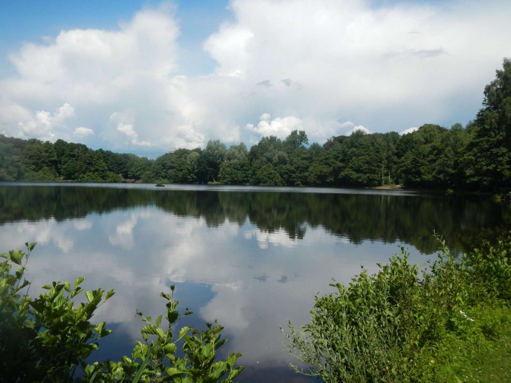 Leben, wo Natur zuhause ist – Exklusive Eigentumswohnung mit privatem Zugang zum Krupunder See